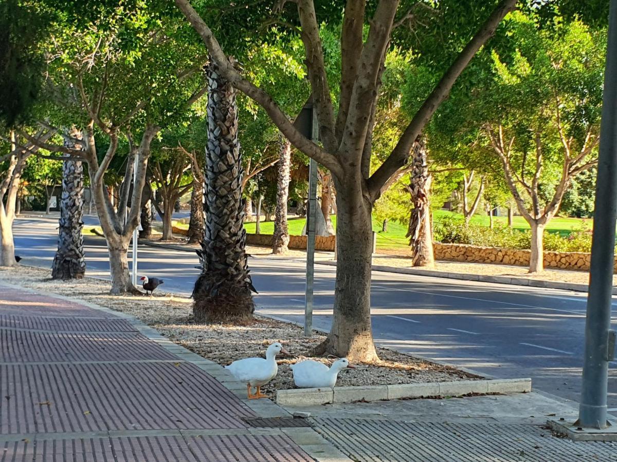 Md Cheap'N Chic Alicante Mutxamel Esterno foto